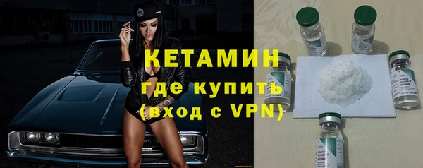 гидра Вязьма