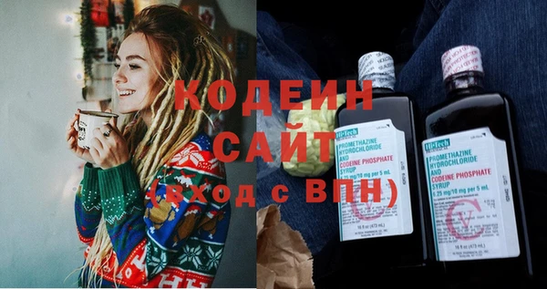 гидра Вязьма
