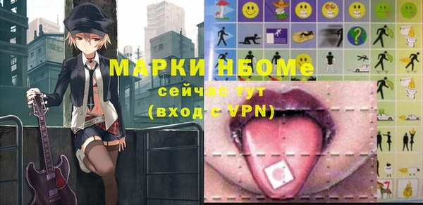 гидра Вязьма