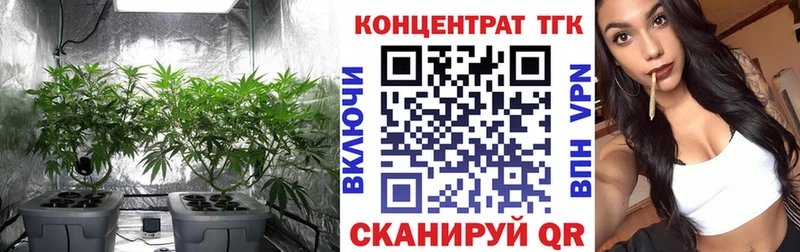 Дистиллят ТГК гашишное масло  Щёлково 